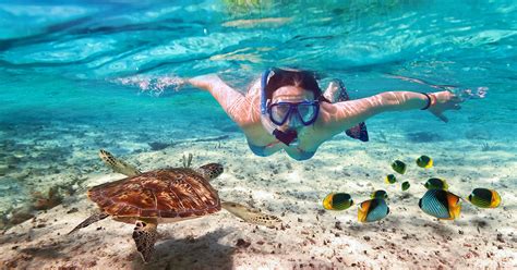 Experience the Thrill of Snorkeling in the Crystal Clear Waters of Sands Beach